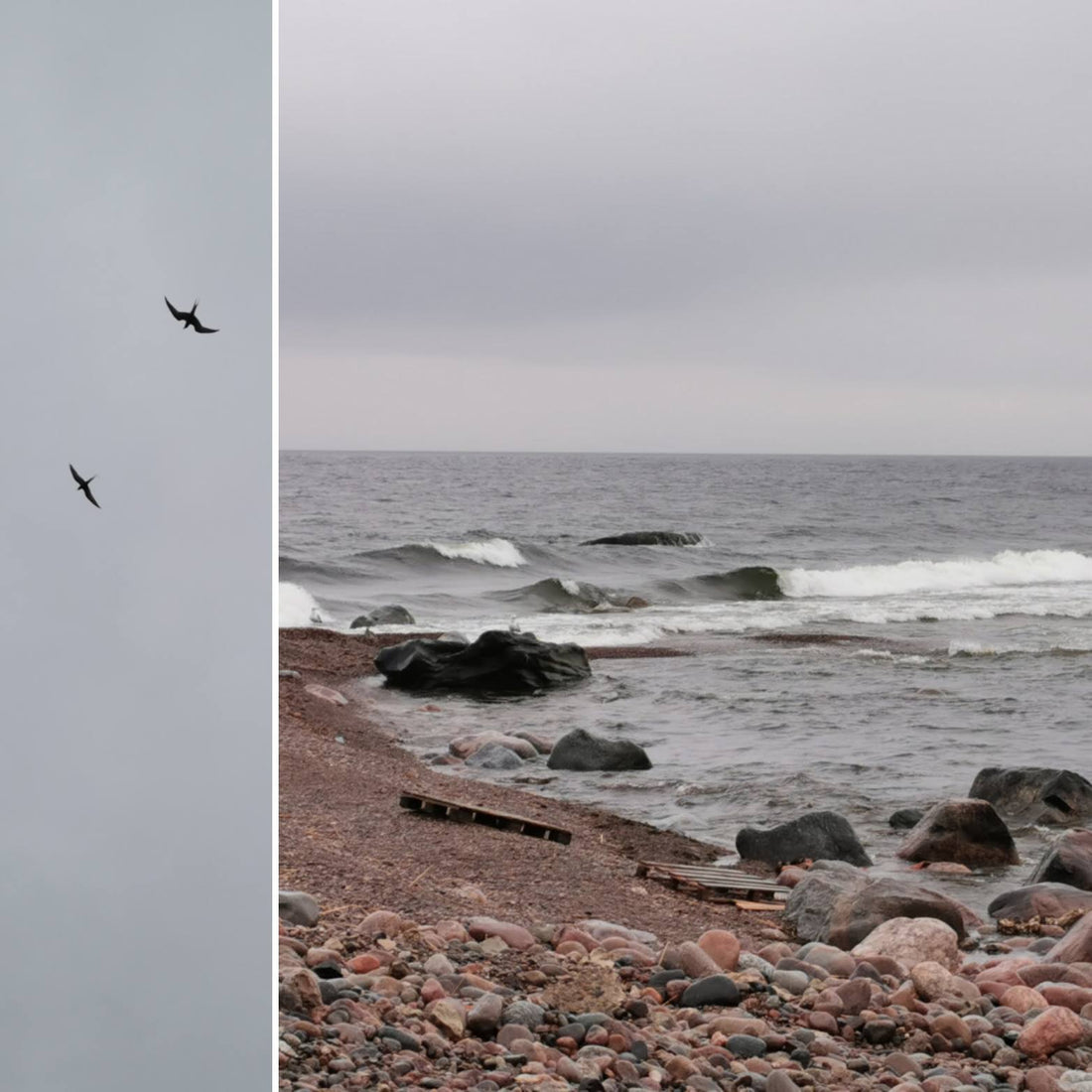 Pille pere seiklused 2025. Osa 2.