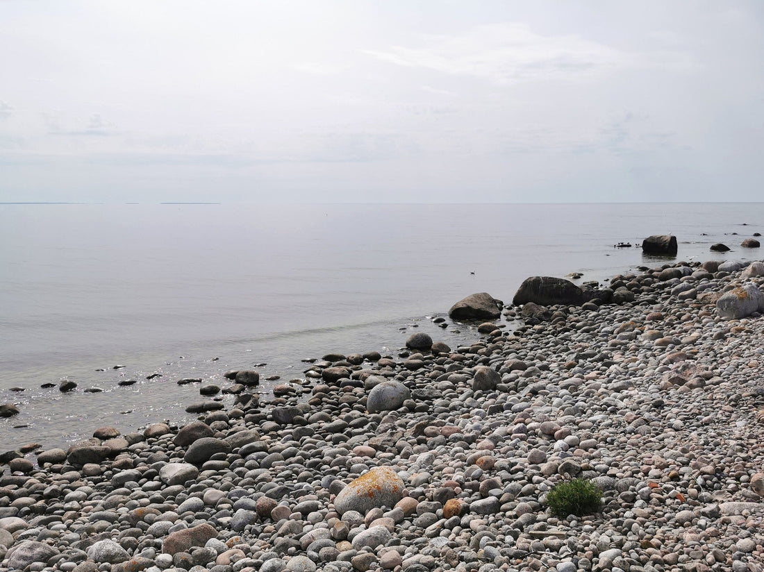 Pille pere seiklused 2025. Osa 10.