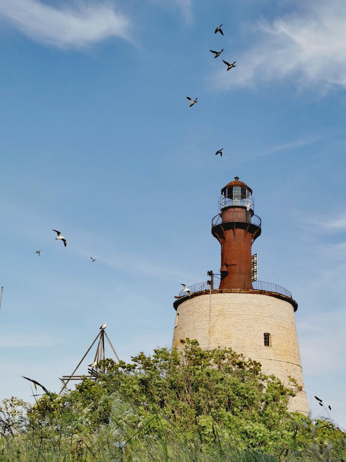 Pille pere seiklused 2025. Osa 5.