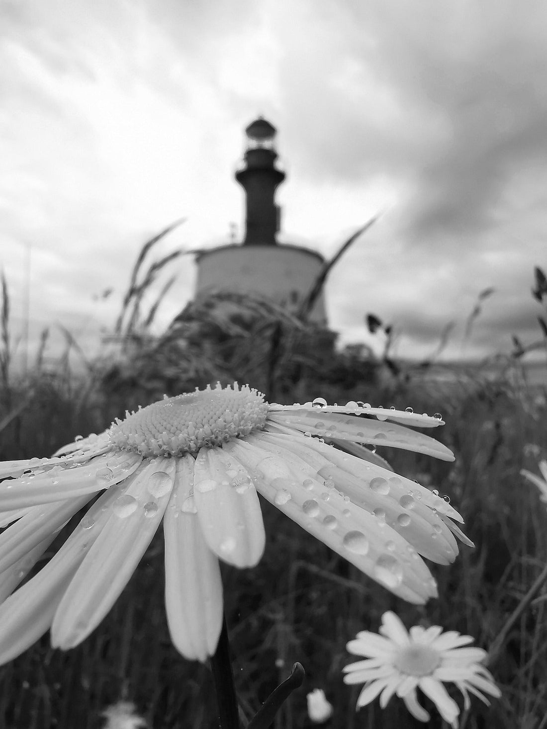 Pille pere seiklused 2025. Osa 12.