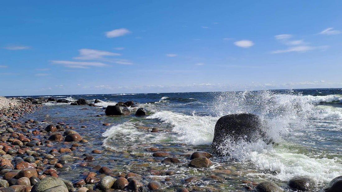 SAAREVAHI PÄEVIK | Tuul rappis öösel rannas saarevahi paati, nii et hommikuks olid otsad sõlmes