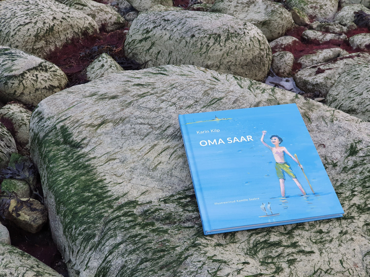 Raamat "Oma saar"